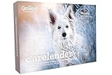 Goood 22259 Adventskalender für Hunde – Fleisch aus Freilandhaltung – ökologischer Weihnachtskalender mit 24 Leckerlies