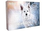 Goood 22259 Adventskalender für Hunde – Fleisch aus Freilandhaltung – ökologischer Weihnachtskalender mit 24 Leckerlies