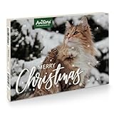 AniForte Adventskalender für Katzen