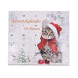 Leitner Katzenspielzeug Adventskalender