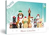 PetPäl Hunde-Adventskalender 2023