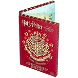 Harry Potter Adventskalender Schmuck Adventskalender silberfarben