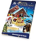 JR Farm Hundeadventskalender