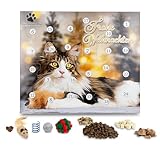Klein´s Premium Shop Katzen-Adventskalender 2023