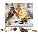 Klein´s Premium Shop Katzen-Adventskalender 2024