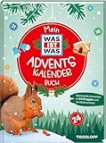 Mein WAS IST WAS Adventskalenderbuch 2 (WAS IST WAS Edition)