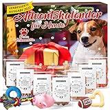 Hunde-Adventskalender mit Spielzeug und Leckerlis 2023