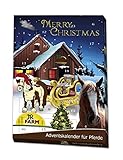 JR-Farm Adventskalender für Pferde