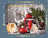 nanook Hansepet Adventskalender für Nager - Hamster - Hasen - Kaninchen - 140 g Gebäck - 42 x 30 cm