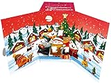 Sonnentor Tee-Adventskalender (37,5 g) - Bio