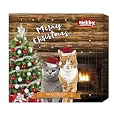 Nobby StarSnack Adventskalender Katzen