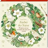 Kreativkalender - Zauber der Natur