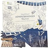 Nachhaltiger Blumen Samen Adventskalender 2023