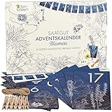 Nachhaltiger Blumen Samen Adventskalender 2024