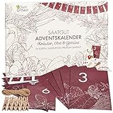 OwnGrown Samen Adventskalender 2023