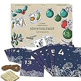 Saatgut ADVENTSKALENDER 2023-24 PREMIUM GEMÜSE und KRÄUTER. Adventskalender mit Liebe verpackte Samen für Frauen, Männer und Kinder. GESCHENKIDEE- Pflanzensamen Weihnachtskalender zum selber Basteln