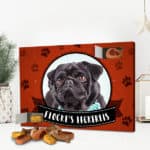 Foto-Adventskalender für Hunde