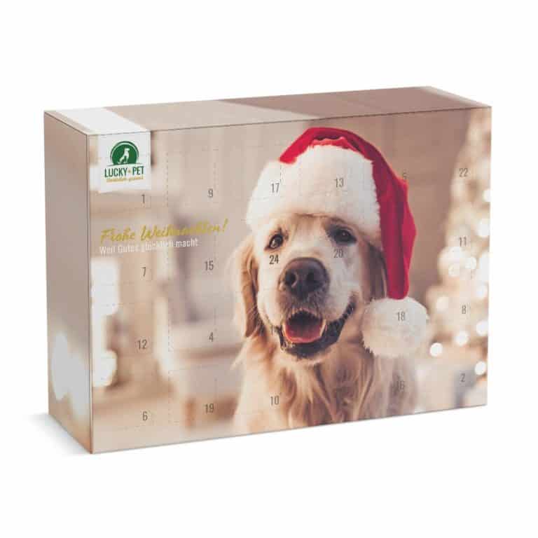 HundeAdventskalender 2024 www.adventskalender.de